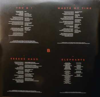2LP Seeed: Seeed CLR | LTD