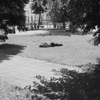 LP Self Defense Family: Heaven Is Earth