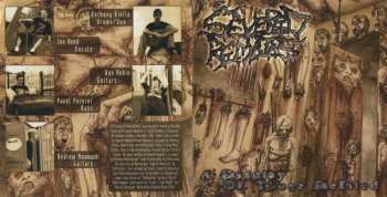 CD Severed Remains: A Display Of Those Defiled