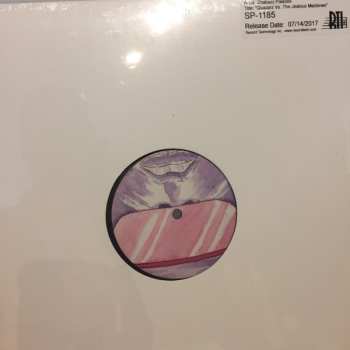 LP Shabazz Palaces: Quazarz vs. The Jealous Machines