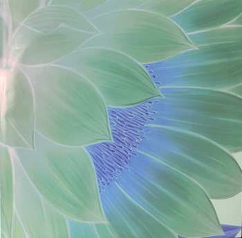 2LP Shakti: Mind Explosion