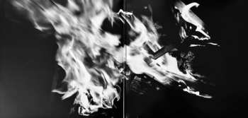 LP Shawn Mendes: Shawn CLR | DLX