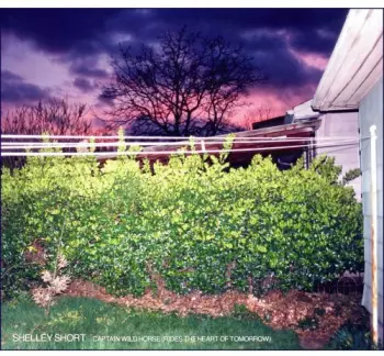 Captain Wild Horse (Rides The Heart Of Tomorrow)