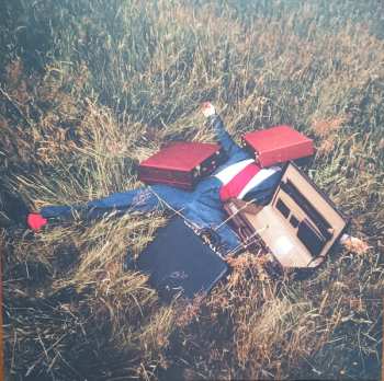 Album She's In Parties: Are You Dreaming?