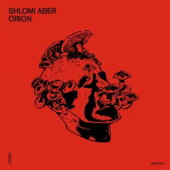 Shlomi Aber: Orion