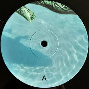 LP Shopping: The Official Body