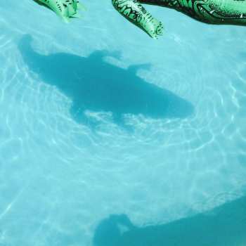 CD Shopping: The Official Body