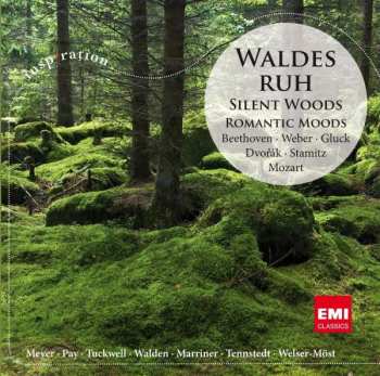 CD Various: Silent Woods: Romantic Woods