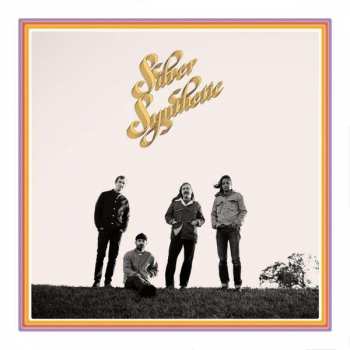 CD Silver Synthetic: Silver Synthetic