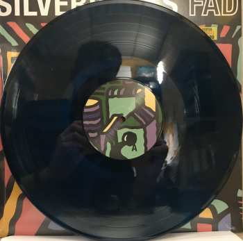 LP Silverbacks: FAD CLR