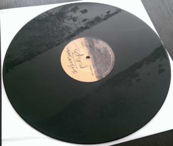 2LP Silversun Pickups: Better Nature