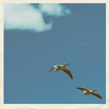 Album Sim Nagai: Palm Dreams