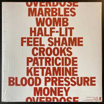 LP Single Mothers: Negative Qualities