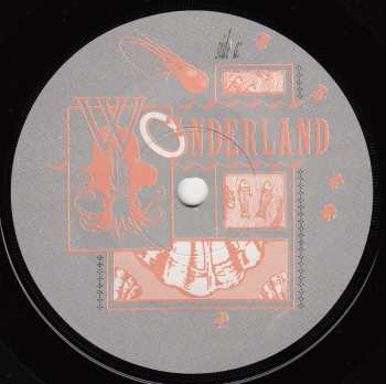 SP Siouxsie & The Banshees: Song From The Edge Of The World