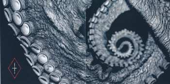 CD Skein: Deadweight