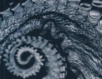 CD Skein: Deadweight