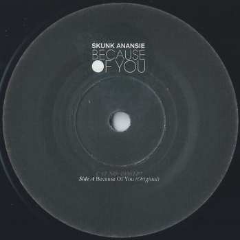 SP Skunk Anansie: Because Of You