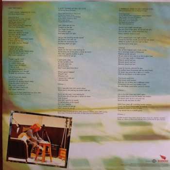 2LP Bonnie Raitt: Slipstream