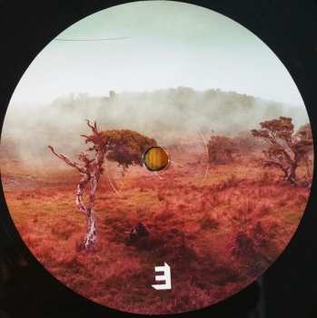 LP Slowly Rolling Camera: Juniper