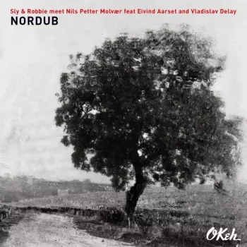 Eivind Aarset: Nordub
