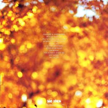 LP Small Brown Bike: Fell & Found CLR