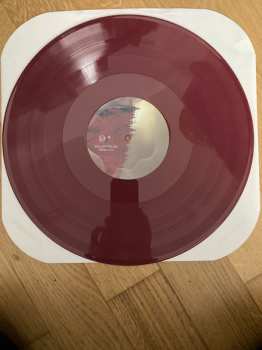 2LP Solar Fields: Origin # 04 CLR | LTD