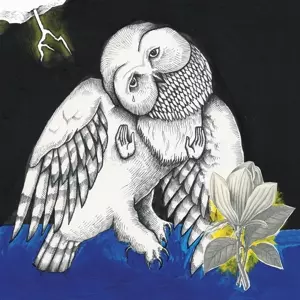 Songs: Ohia: The Magnolia Electric Co