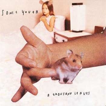 2LP Sonic Youth: A Thousand Leaves