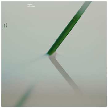 LP Sophie Hutchings: Wide Asleep