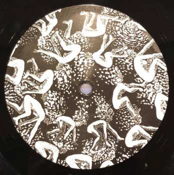 LP Spirit Fest: Anohito