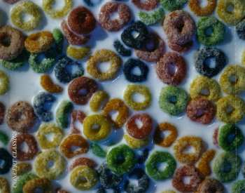 CD Split Enz: Live In America