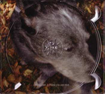 CD Stars: Do You Trust Your Friends?