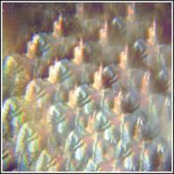 LP/CD Stealing Sheep: Into The Diamond Sun