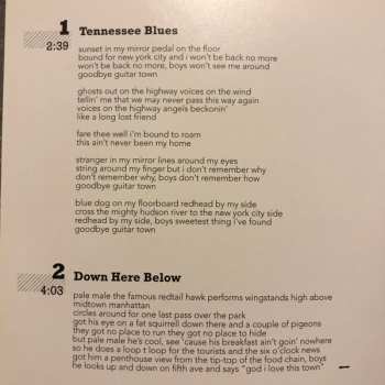 CD Steve Earle: Washington Square Serenade