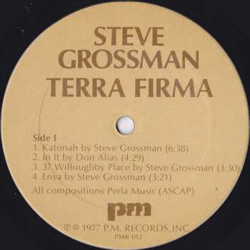 CD Steve Grossman: Terra Firma