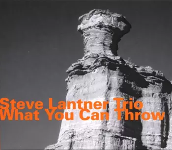 Steve Lantner Trio: What You Can Throw