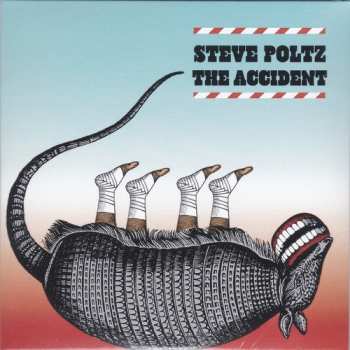 Album Steve Poltz: Accident
