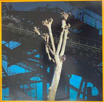 2LP Steven Wilson: Intrigue (Steven Wilson Presents: Progressive Sounds In UK Alternative Music 1979-89)