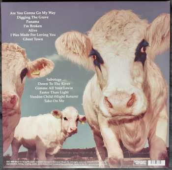 LP Steve'n'Seagulls: Grainsville