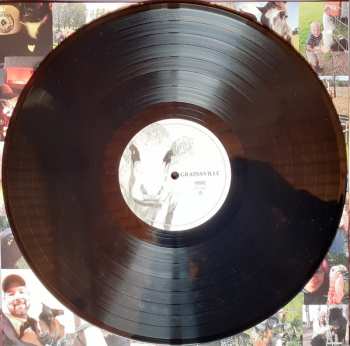 LP Steve'n'Seagulls: Grainsville