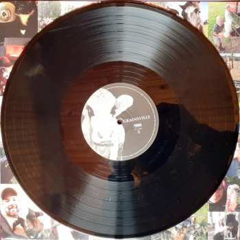 LP Steve'n'Seagulls: Grainsville