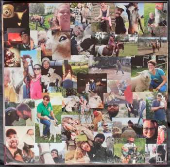 LP Steve'n'Seagulls: Grainsville