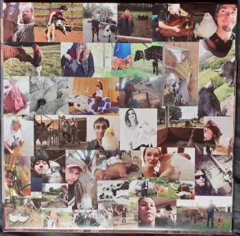 LP Steve'n'Seagulls: Grainsville