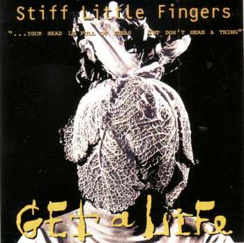 4CD/Box Set Stiff Little Fingers: The Albums 1991 - 1997