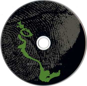 CD Hans-Joachim Roedelius & Tim Story: Lazy Arc