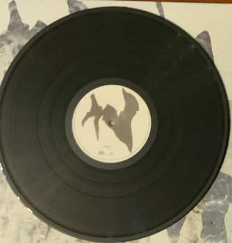 LP Studio Murena: Wadirum