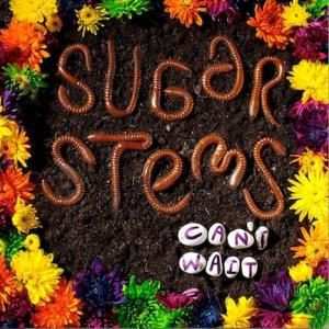 Album The Sugar Stems: Can't Wait