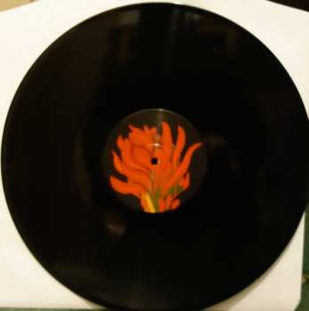 LP Sun Cutter: Sun Cutter LTD