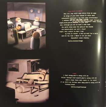 2LP Sunny Day Real Estate: Diary