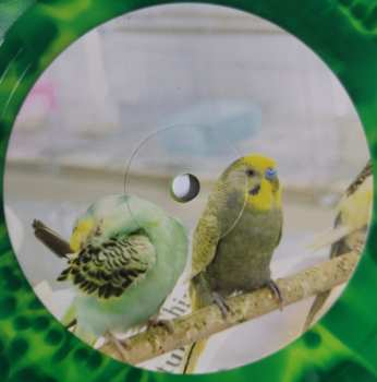 LP Superchunk: Wild Loneliness CLR | LTD